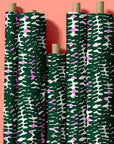 Doops Ferns