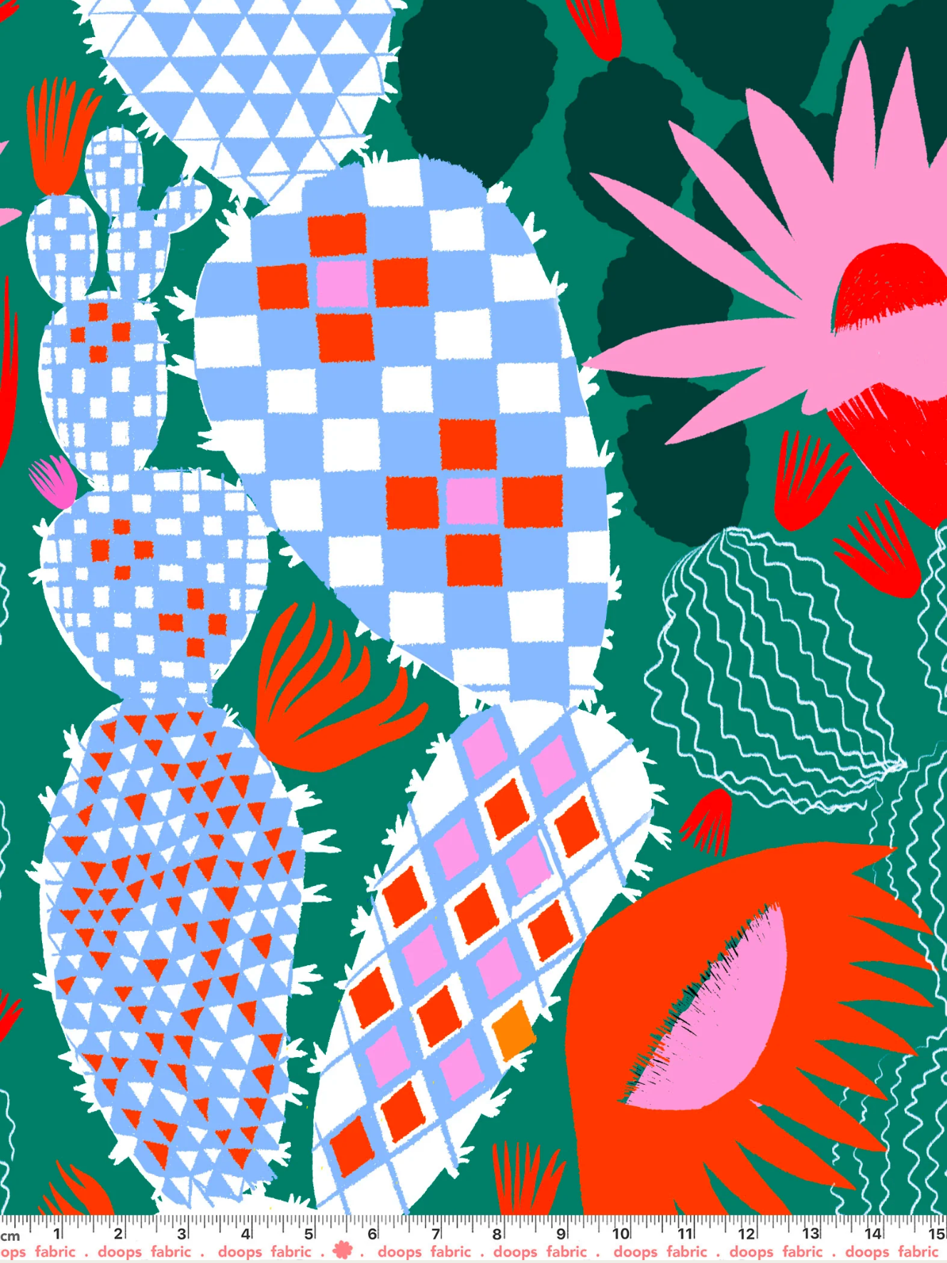 Bloom Cacti (Wholesale)