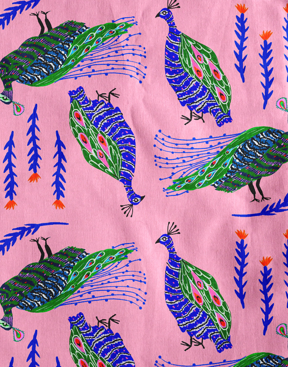 Exotic Feather (Wholesale)